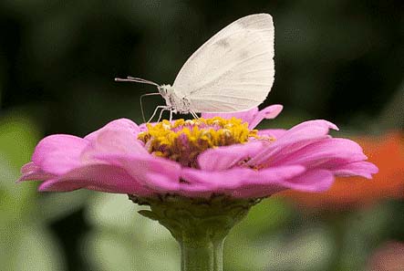 018